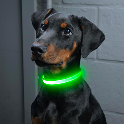Green LED light-up dog collar with USB rechargeable port and adjustable buckle for safe night walks